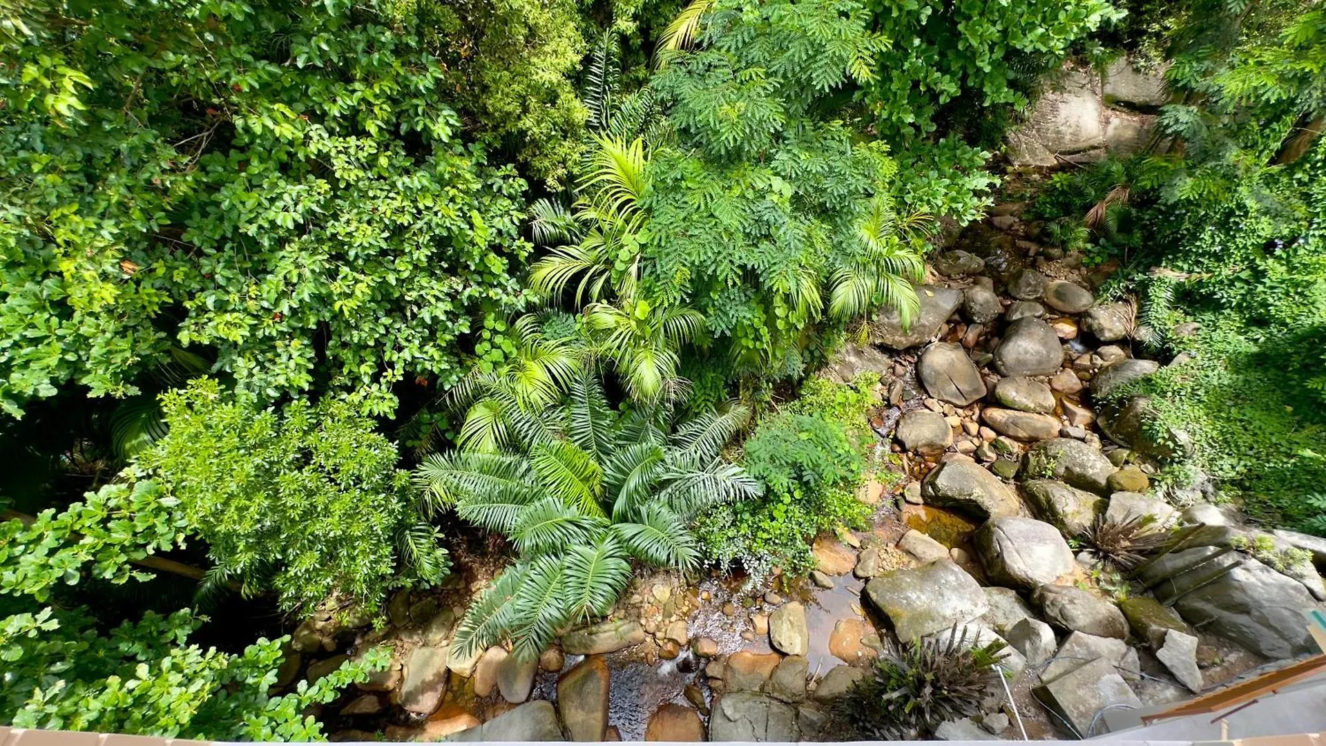 The Palm Seychelles Apartment Bel Ombre